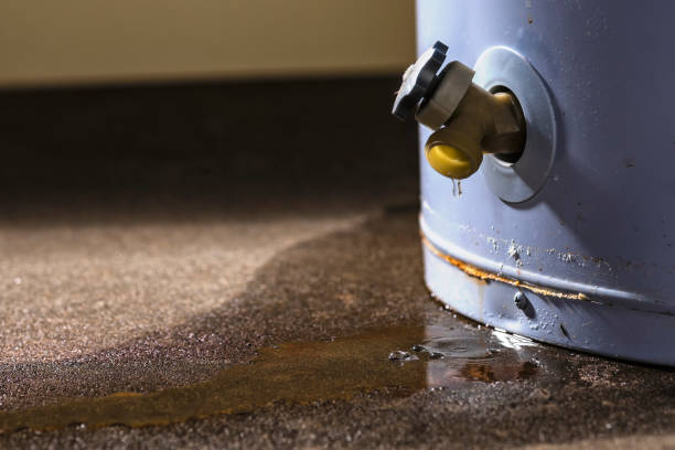 Best Water damage repair service  in Titusville, FL