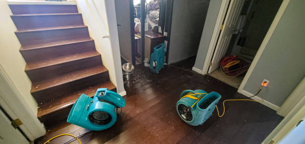 Best Water damage restoration near me  in Titusville, FL