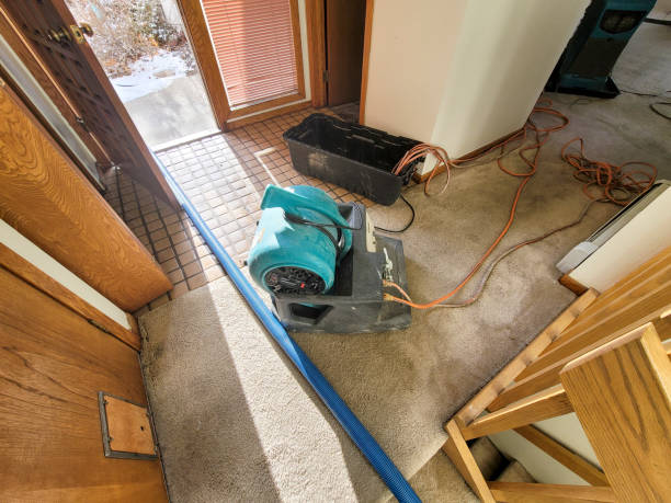 Best Ceiling water damage repair  in Titusville, FL