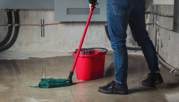 Best Water damage restoration experts  in Titusville, FL