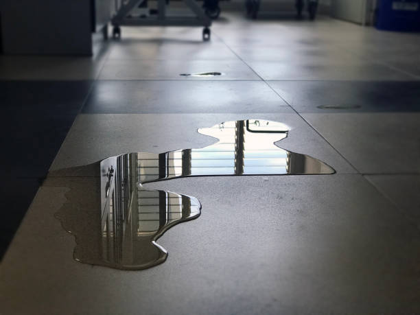 Best Water damage restoration near me  in Titusville, FL