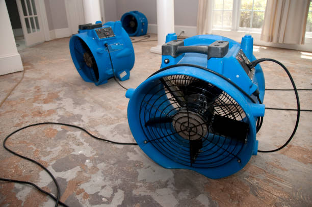 Best Flooded house restoration  in Titusville, FL