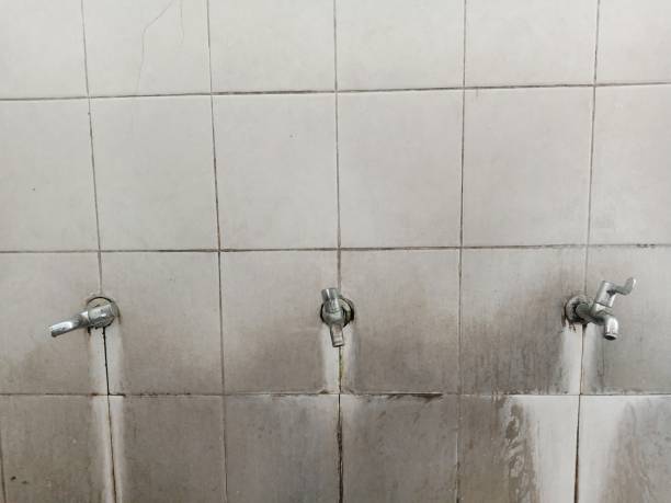 Best Flood damage cleanup  in Titusville, FL