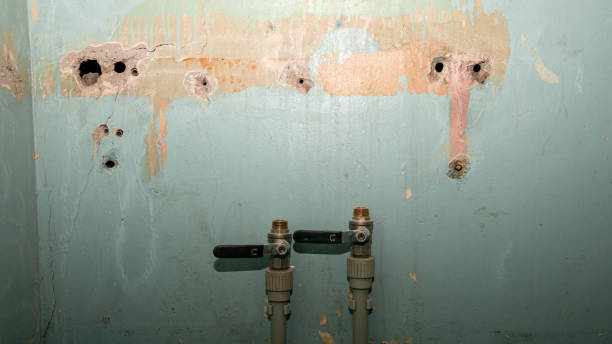 Best Sewage cleanup and water damage restoration  in Titusville, FL