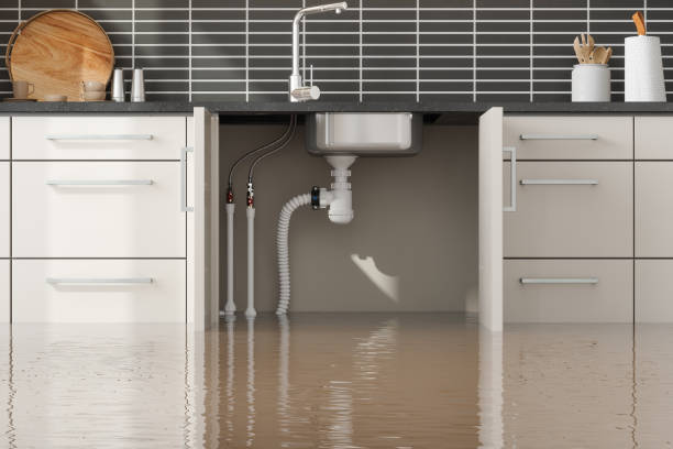 Trusted Titusville, FL Water damage restoration Experts