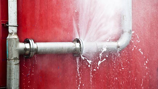 Best Basement water damage restoration  in Titusville, FL